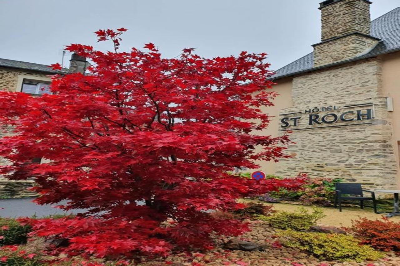 The Originals Relais Hotel Saint-Roch Salzuit エクステリア 写真