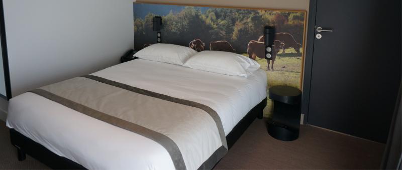 The Originals Relais Hotel Saint-Roch Salzuit エクステリア 写真